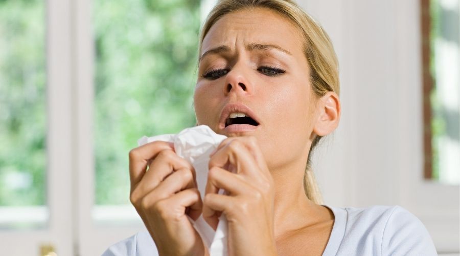 Distressed woman holding a crumpled tissue in her hands, illuminated by soft natural light indoors.